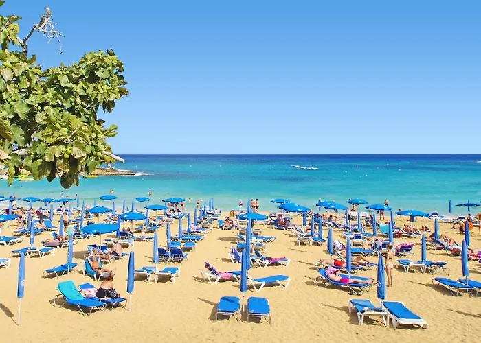 Sharon - Coralli Beachfront Διαμέρισμα Πρωταράς